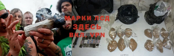 трава Магадан