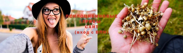 ешки Майский