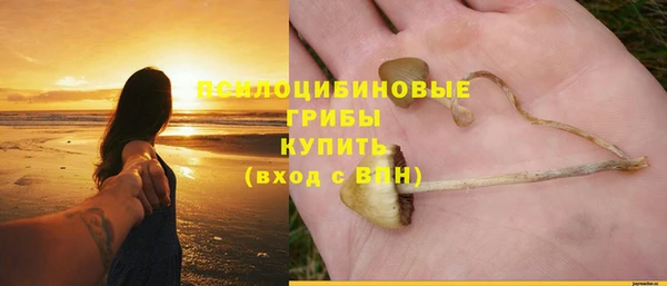 трава Магадан