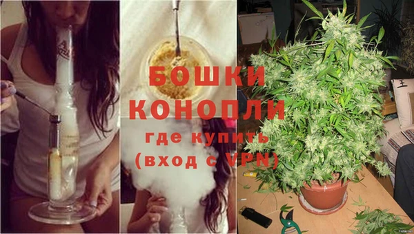 гидра Медвежьегорск