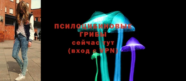 ешки Медногорск