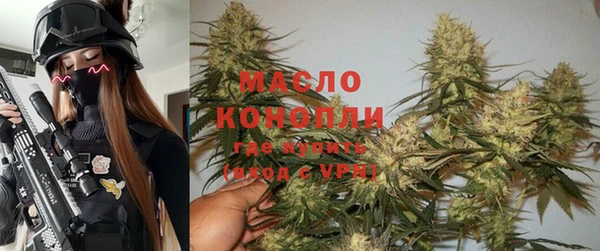 гидра Медвежьегорск