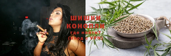 гидра Медвежьегорск
