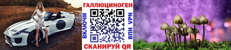 где можно купить наркотик  Терек  ссылка на мегу ONION  Псилоцибиновые грибы прущие грибы 