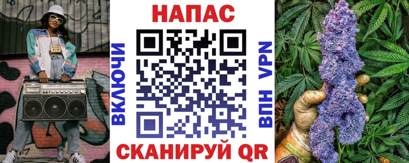 Шишки марихуана сатива  Терек 